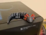 Axolotl Articolato (Multicolore)-2