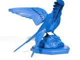 Swallow figure-6