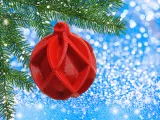 Christmas Ball, full body with ribs-3