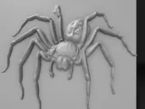 spider-0