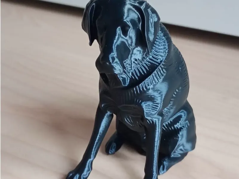 Hund (Labrador Retriever)