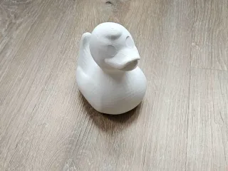 Rubber ducky