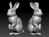 Rabbit rex model urban vibes-4