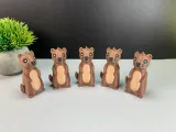 Simpatica lontra-2