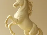 cavalo selvagem-0