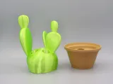 Kaktüs diş fırçası-1