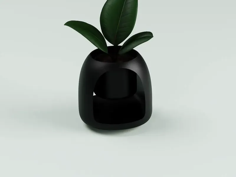plant pot