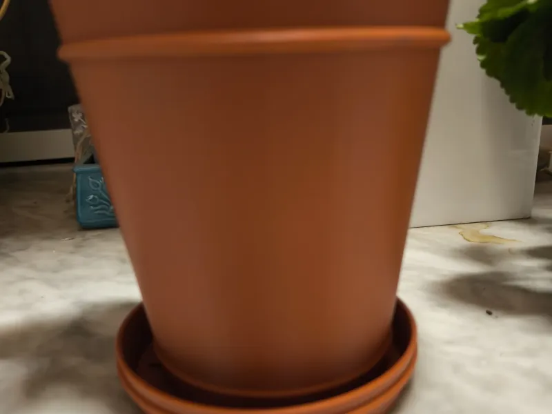 vaso per piante con sottovaso 