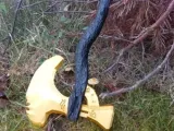 Axe-0