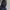 MASCHERA DELLA MORTE CON VOLTO DI MONETA VICHINGA COSPLAY HALLOWEEN