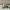 Stylische Oster-Eierschale im Low-Poly Look