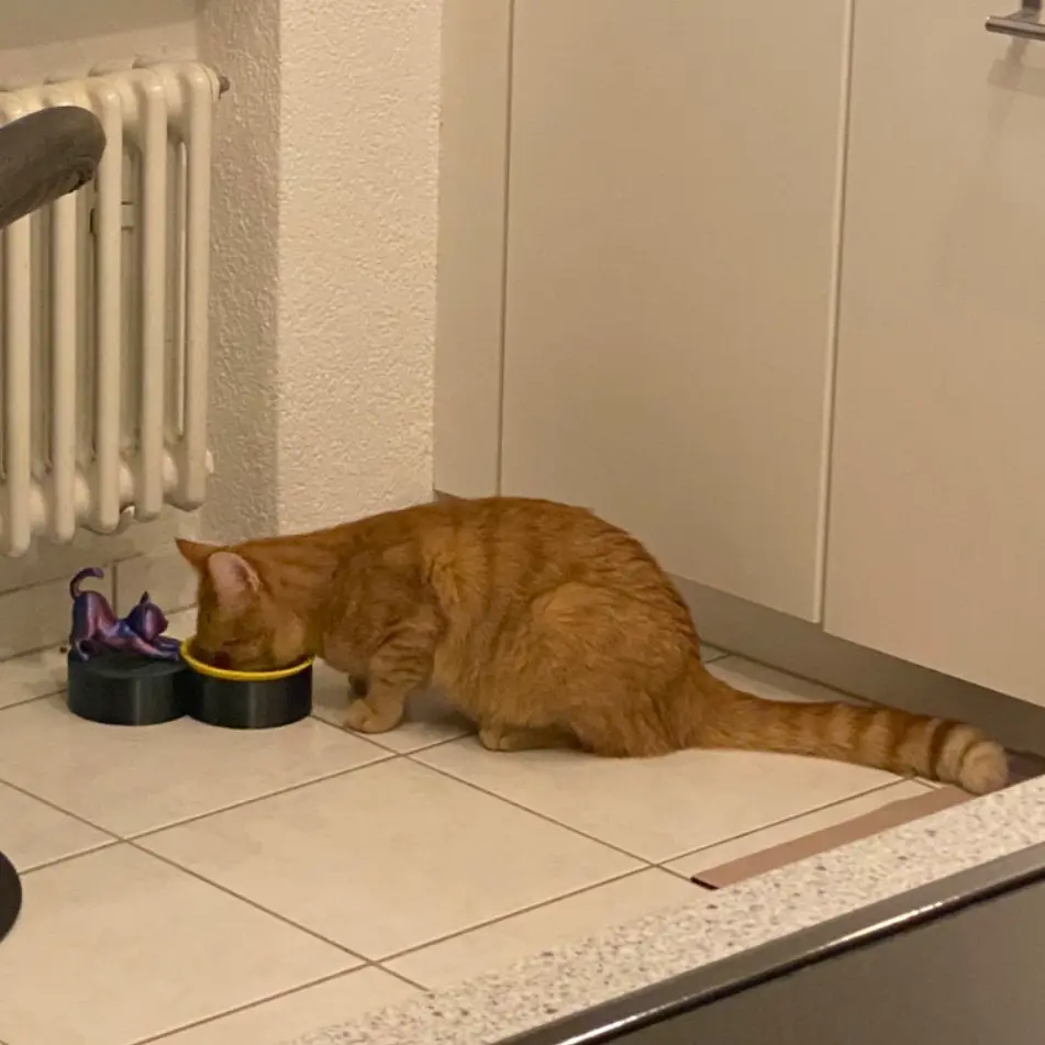 3D Printer Files | 3MF File | Fressnapf für Katzen mit Katen-Statur