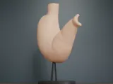 Human Stomach Cross Section Anatomy-5