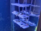 Rim-Compatible CoralFrag Hangers-0