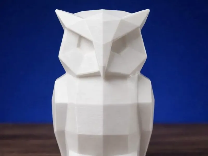 Cute Owl