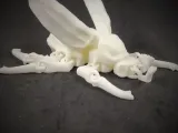FLEXI PRINT-IN-PLACE BEETLE-1