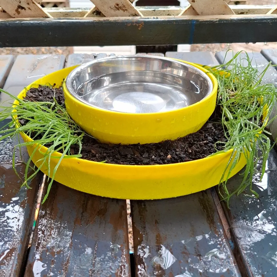 Self-Watering Pet Bowl & Planter Duo