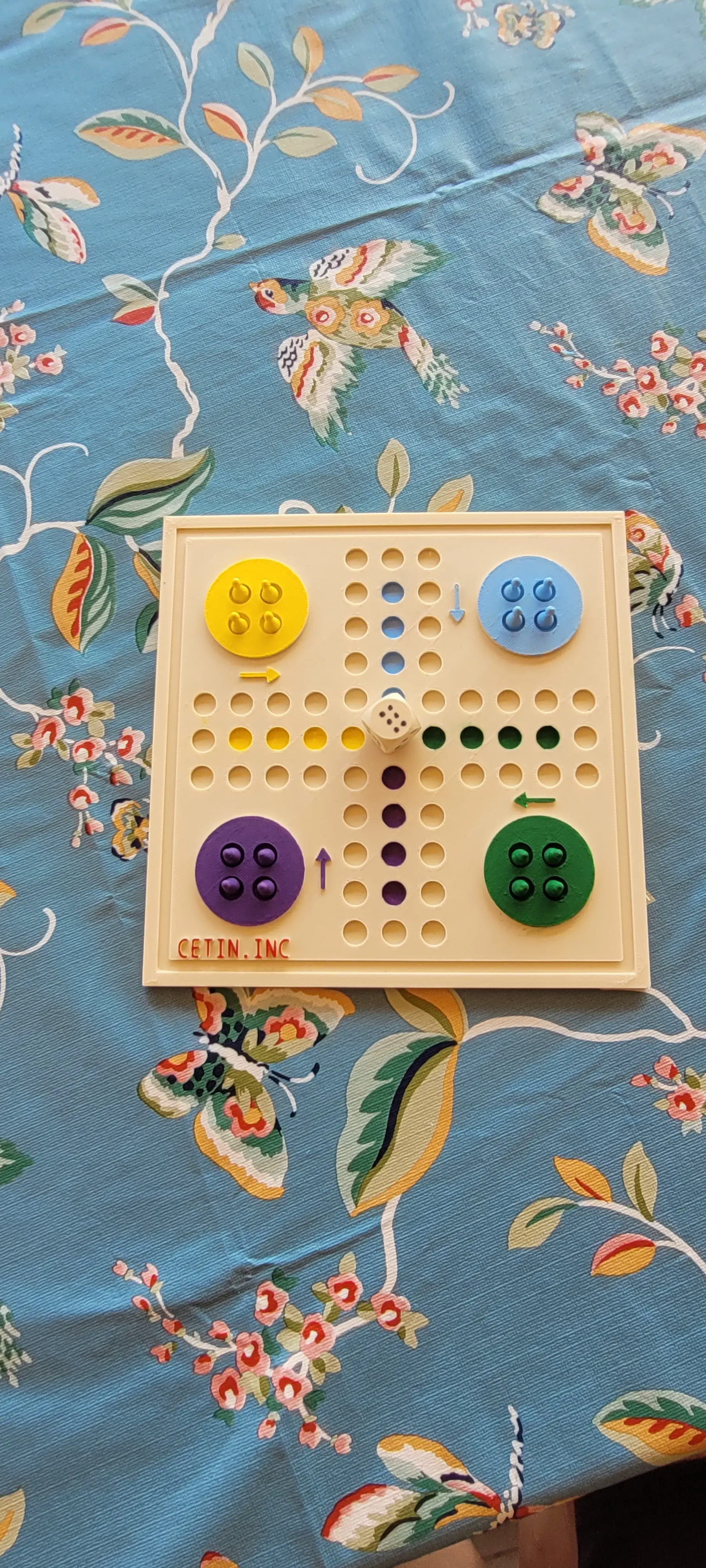 Ludo game
