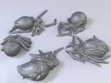 Dead Spiders (Harvest of War)-2