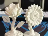 Cyber Rose-6