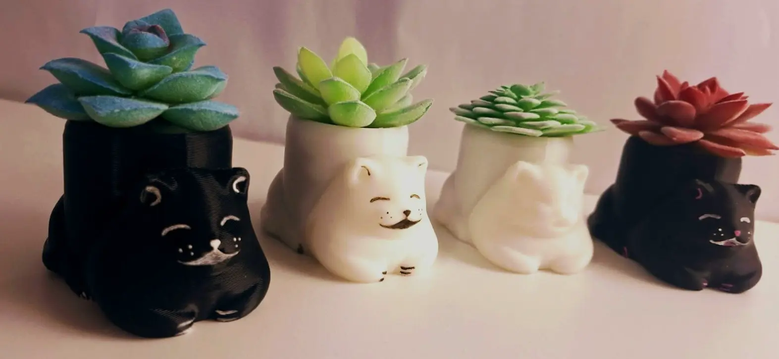 Kitty plantenbak