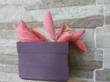 Minimalistic Wall Planter-1