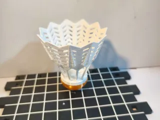 CS-羽毛球