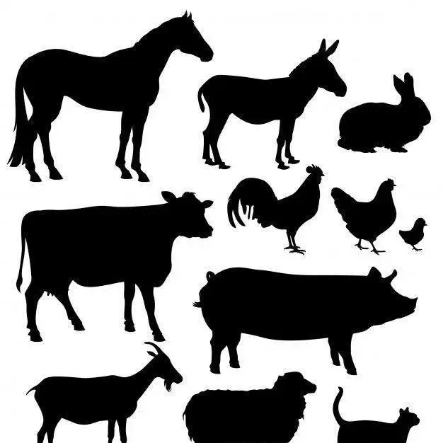 Llaveros de animales de granja/farm animal keychains
