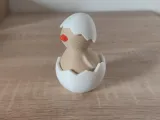 Hatched Chicken-3