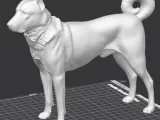 kangal dog-0