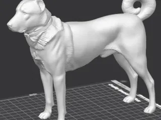 kangal dog