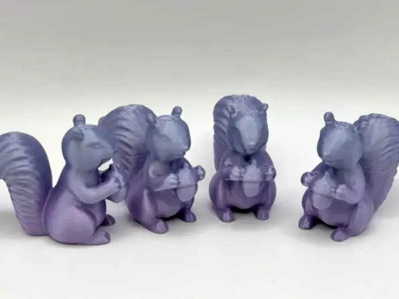 抱着坚果的小松鼠