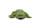Crocodile-6