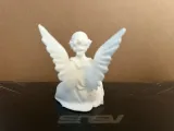 Angel 82-3