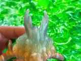 Leo The Zodiac Dragon-4