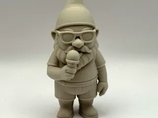 Cool Gnome Summer