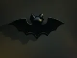 Bat / Decoratio-2