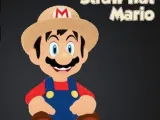 Straw Hat Mario-1