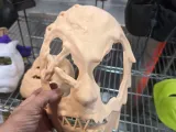 Stitches Mask-1