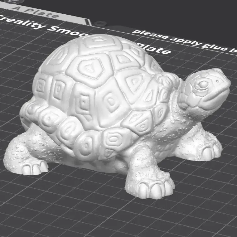 Tortue terrestre