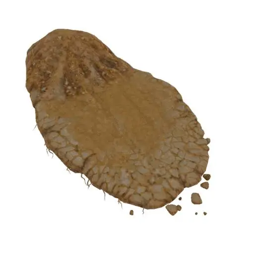 Cracked Dirt Patch Terrain 3D Model STL Printable