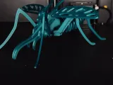 Mosquito Ártico-3