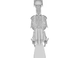 Falcon Skeleton Anatomy – Highly Detailed Bird Skeletal 3D-3