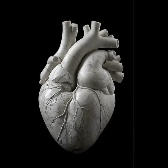 corazón