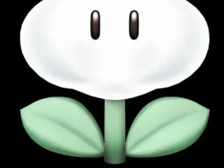  Cloud flower from super Mario galaxy 2