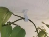 Hook For Plants-2