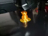 Orso con anello-1