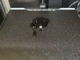 PiviotClip Pro V2-4