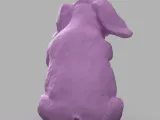 Sitting Pig-2