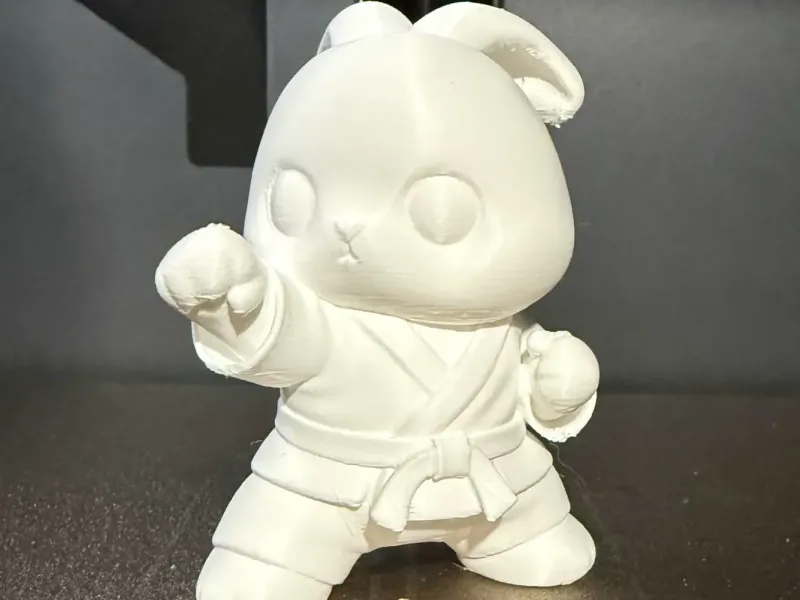 Karate Bunny Fighter